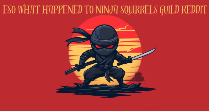 eso what happened to ninja squirrels guild reddit